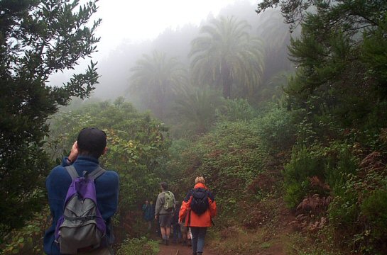 La Gomera 2002