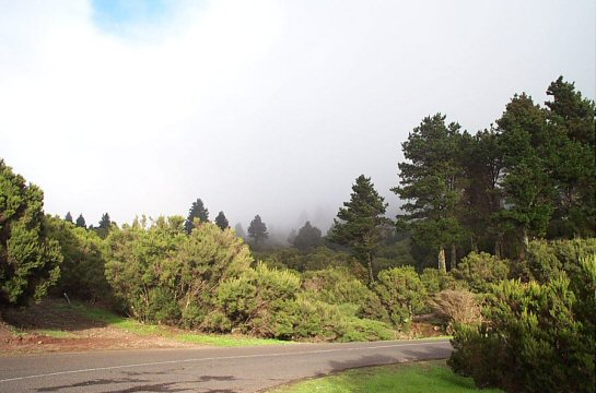 La Gomera 2002