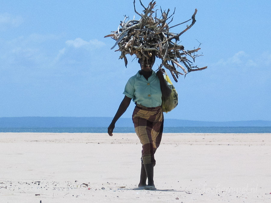 Afrika 2004