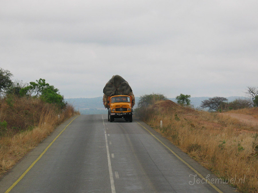 Afrika 2004