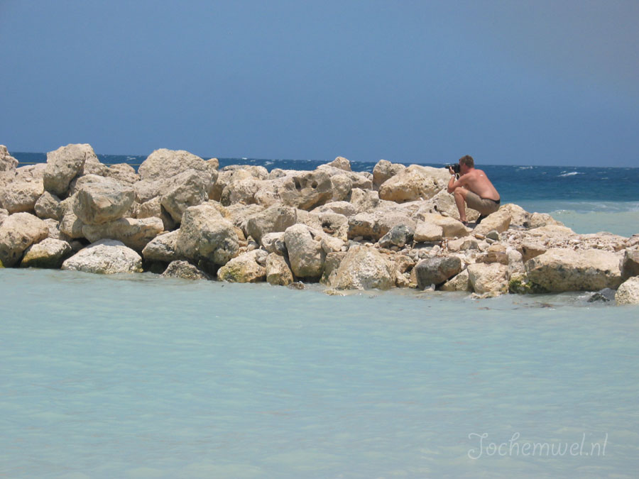 Aruba 2005