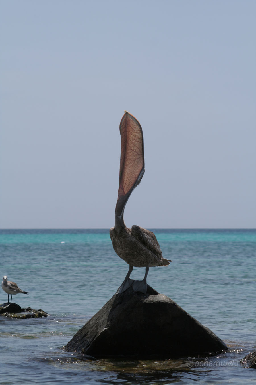 Aruba 2005