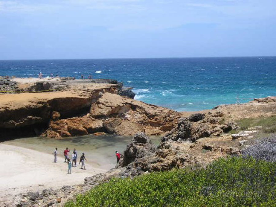 Aruba 2005