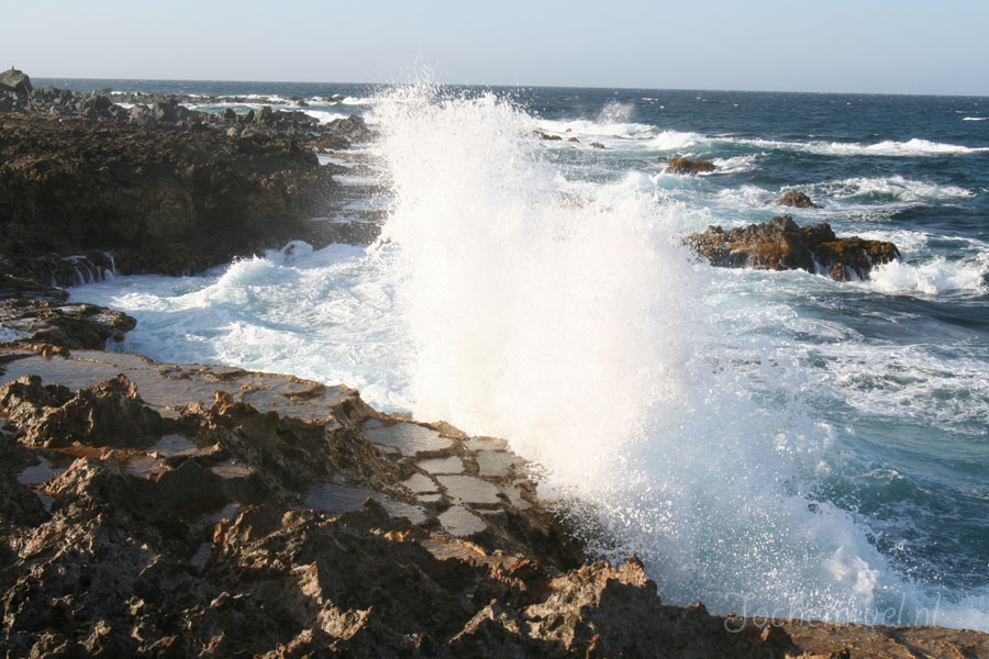 Aruba 2005