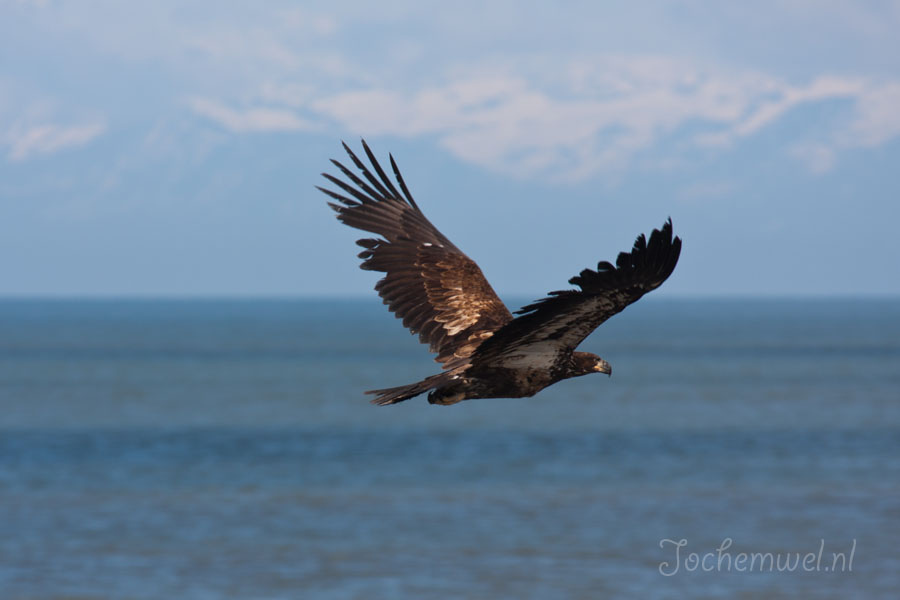 Alaska 2011