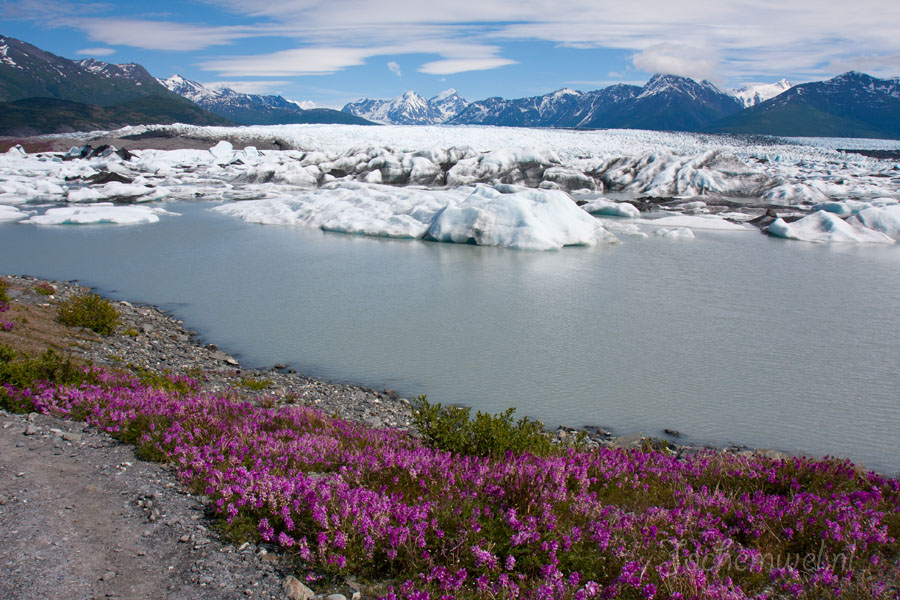 Alaska 2011