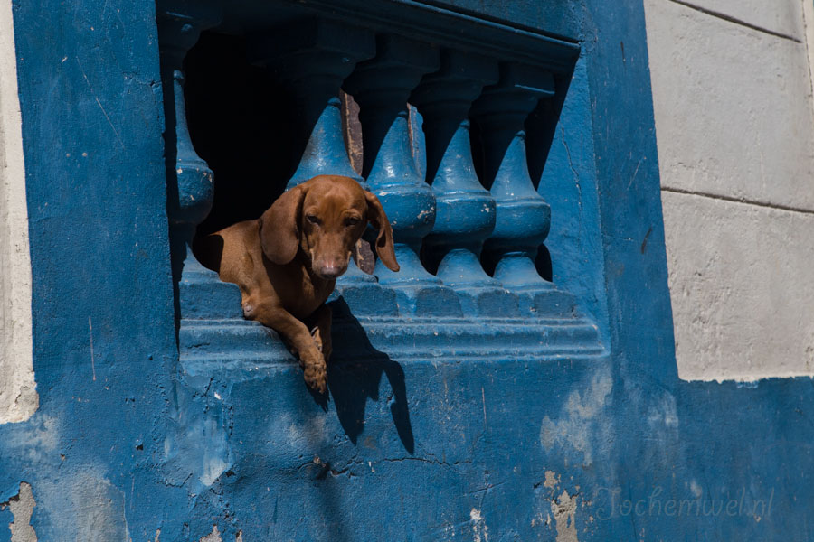 Cuba 2016