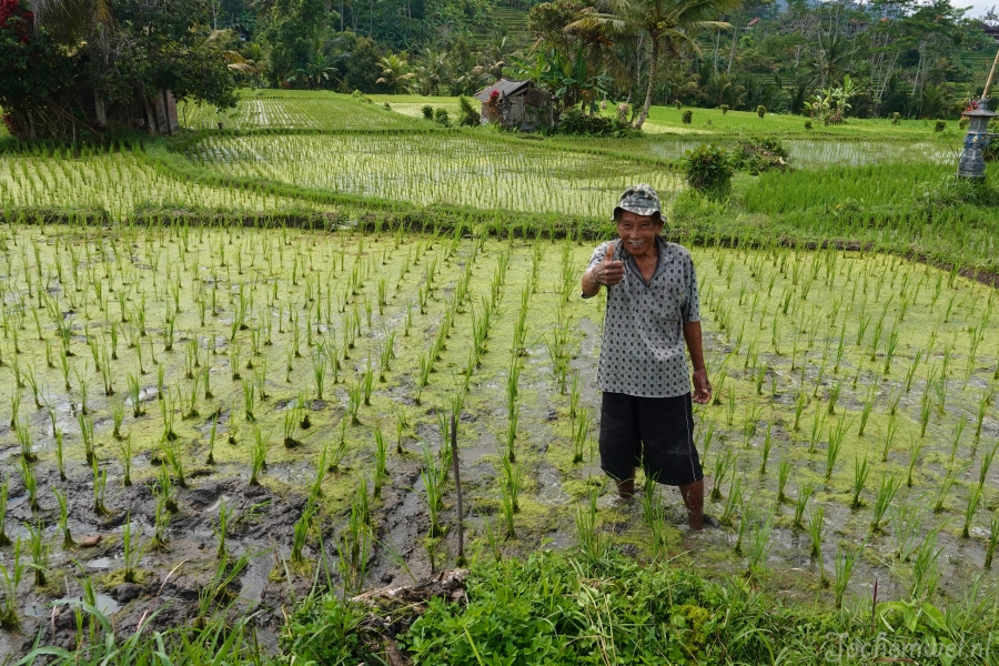 Indonesie