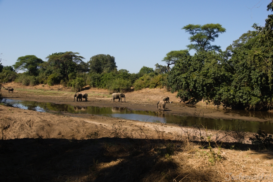Zambia