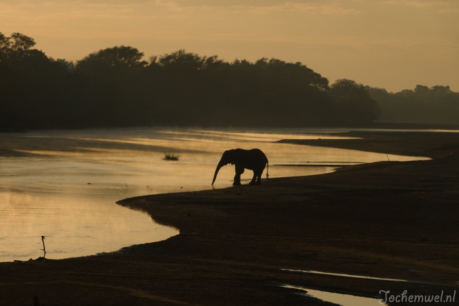 Zambia