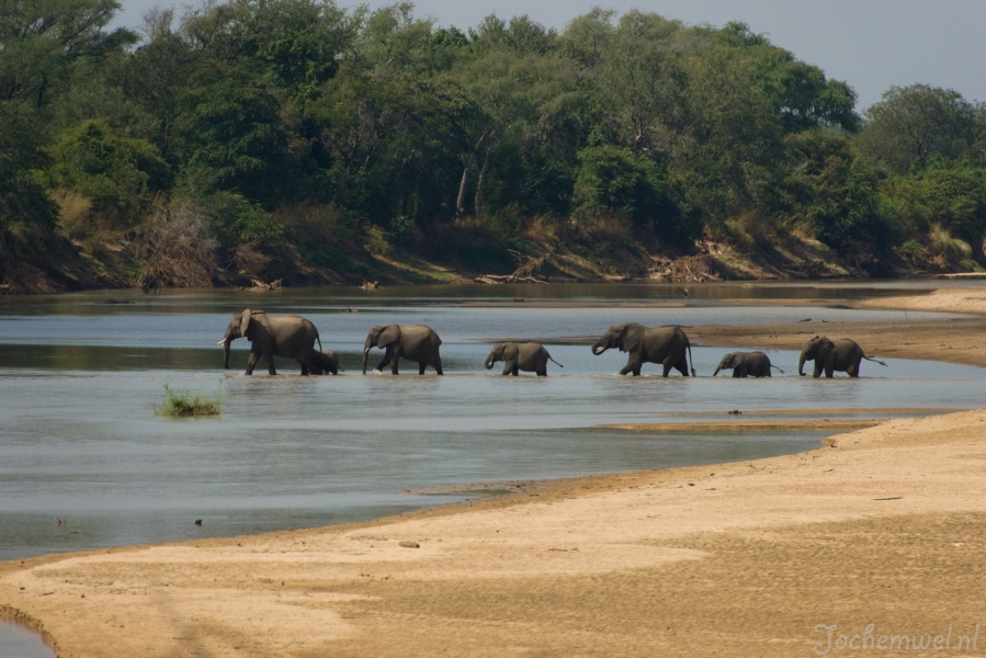 Zambia