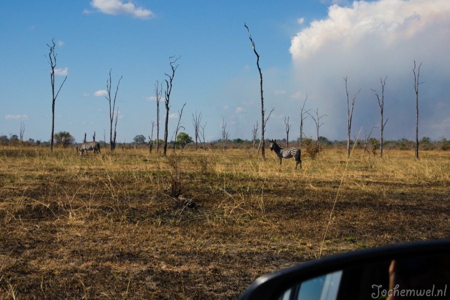 Zambia