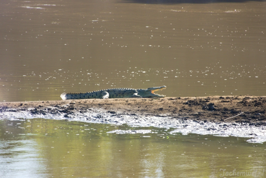 Zambia